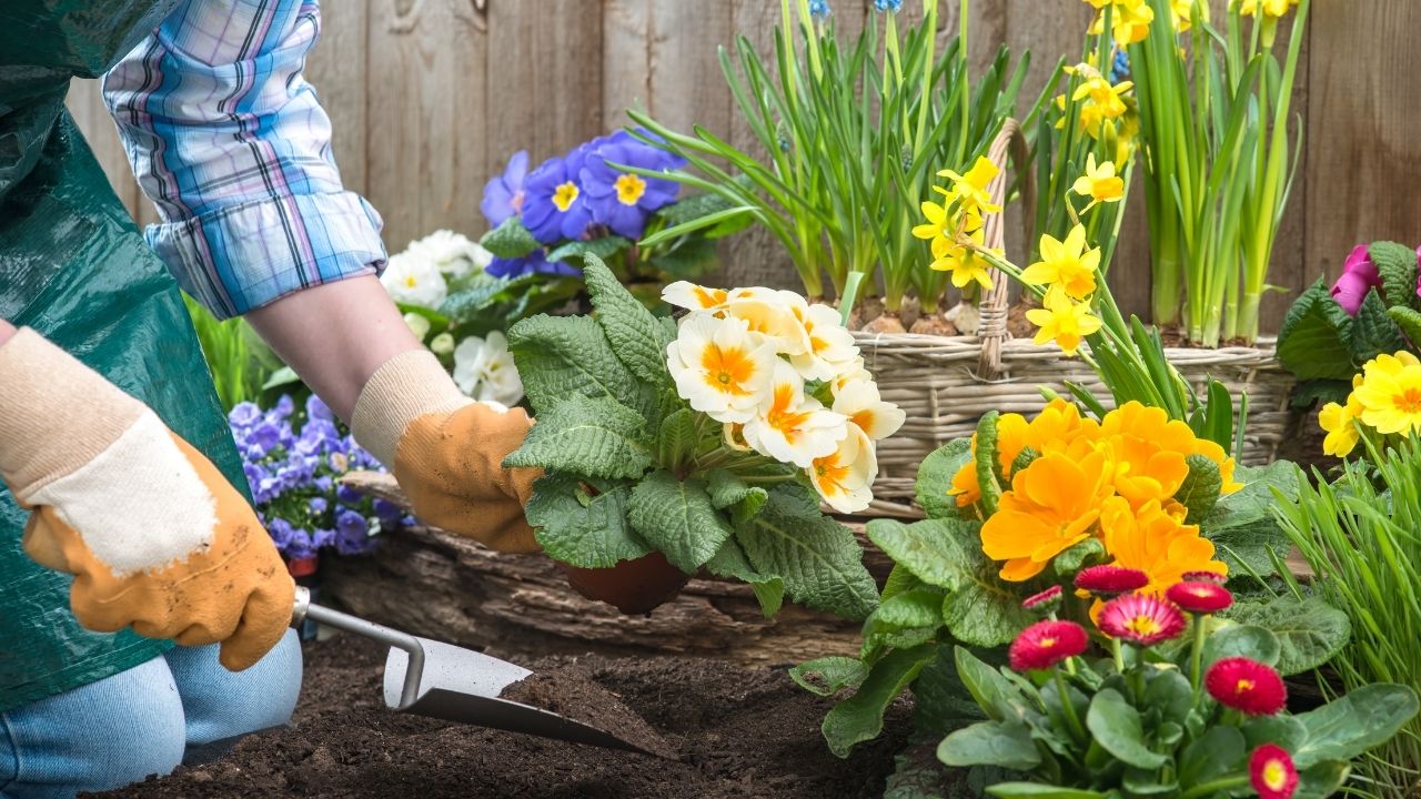 Top Lawn Care Tips For a Beautiful Garden