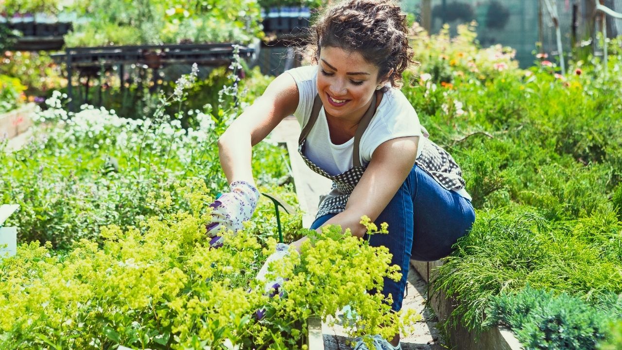 Serious Gardening in Virginia - The Virginia Planting Guide 2020