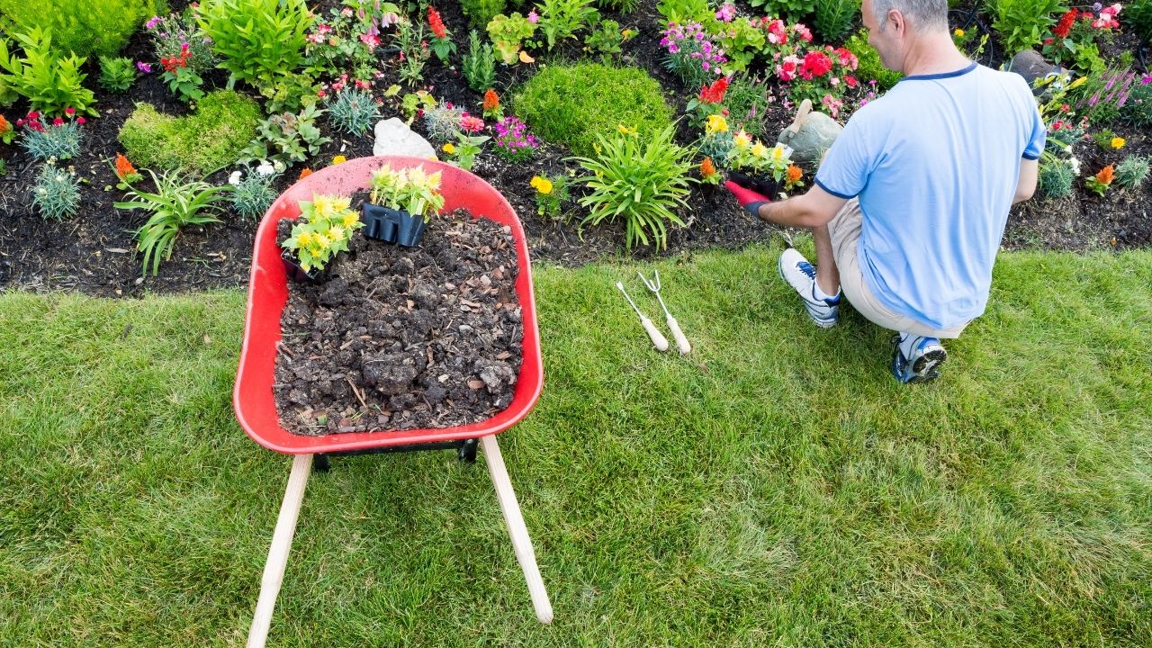 Beginner Gardening Tools and Gardener Essentials Tools