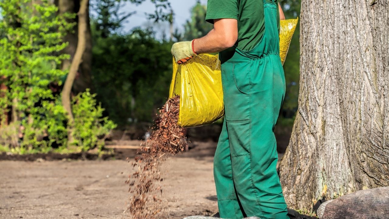 Different Types of Mulch For Gardens
