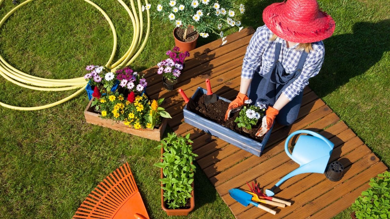 Tips on Organic Vegetable Gardening